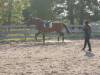 DSC05812