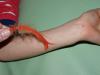DSC01316.jpg