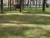DSC01282.jpg