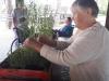 foto0090