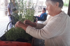 foto0090