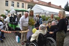 FESTIWAL-16